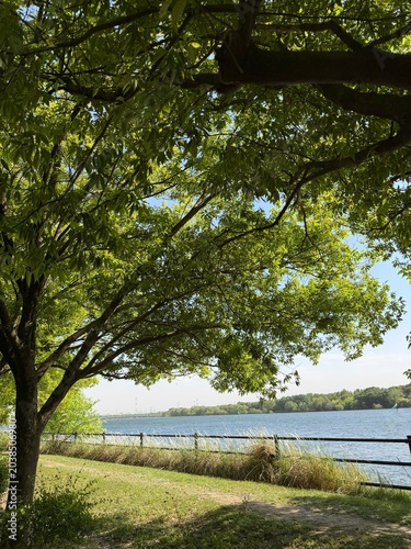 Quadro su tela Scenic view of a river bank with green grass and fence under shady trees