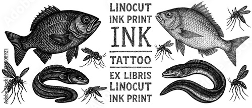 Fish, crucian carp, perch, eel, mosquito, tattoo, print, linocut stamp, ex libris, ink