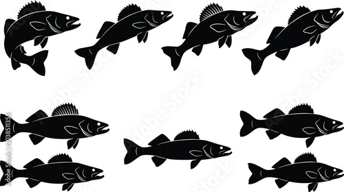 Canvastavla Fish silhouette illustration collection featuring spiny dorsal fins and elongate
