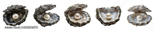 Foto Elegant Open Oyster Shells with Lustrous Pearls Collection Isolated on White Bac