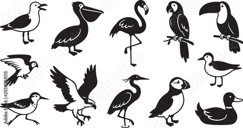 Photos Black and white of various birds in flight and perching bird flying birds perchi
