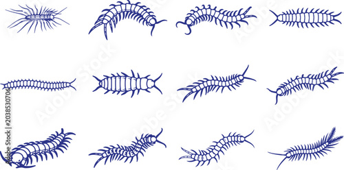Foto Set of centipede body segment variations in blue outline on transparent checkered background for design