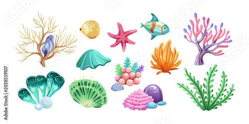Marine life coral reef and sea shells collection, vector