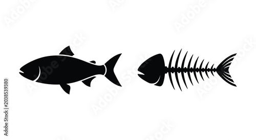 Billede på lærred fish and fish skeleton silhouette black white background animal marine seafood b