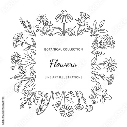 Botanical Line Art Frame with Wildflowers and Herbs