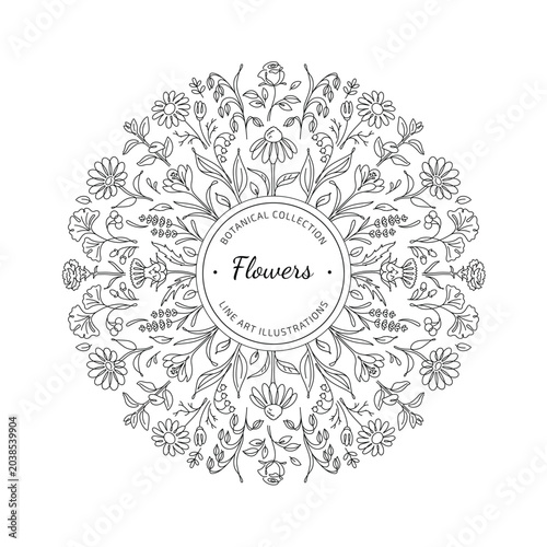 Botanical Line Art Floral Mandala Frame