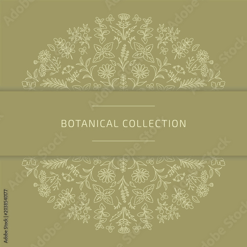 Botanical Collection Elegant Floral Line Art Design on Olive Green Background