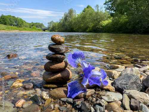 Canvas Print Balancing stones by a river, with a colorful blue flower