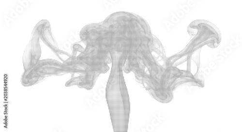 Billede på lærred Abstract swirling cloud-like formation of halftone dots, resembling smoke or gas, conveying dynamic movement and ethereal form