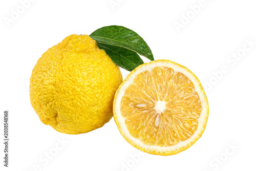 Photos Fresh Yellow Yuzu Fruit Whole and Half Slice with Leaf