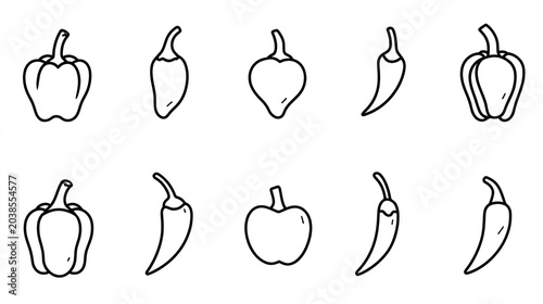 Collection of hand drawn pepper outlines featuring bell peppers and chili varieties on a white background.