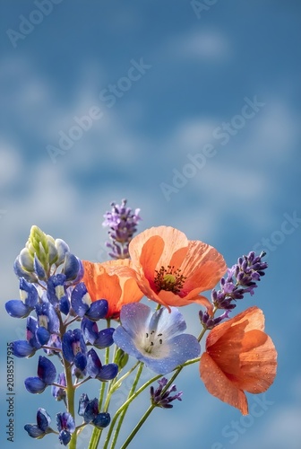 Colorful Wildflower Bouquet with Bluebonnets and Poppies Against Blue Sky
