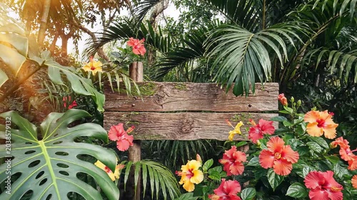 Vibrant tropical plants and flowers with wooden sign in sunlight