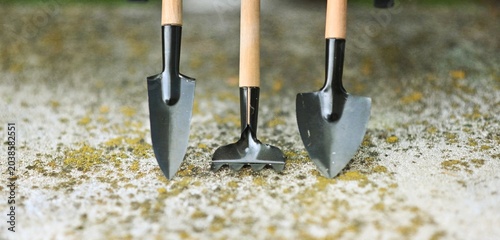 Miniature gardening tools being used to scoop dirt and plants.