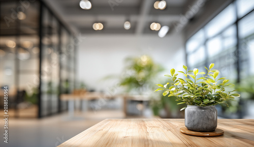 blurred modern office interior with glass walls and green plants on a table.