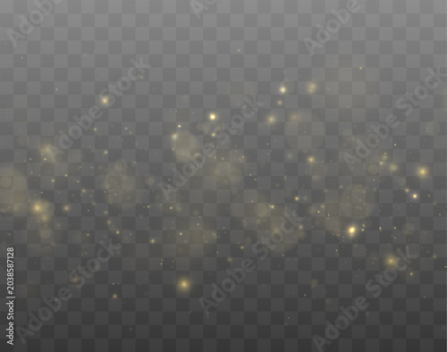 Canvastavla Luxury glowing dust shines with elegant golden reflections