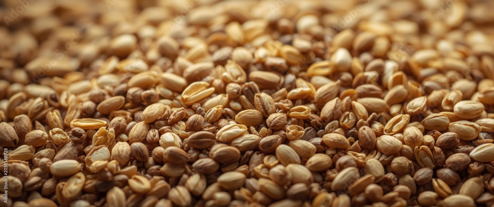 Obraz premium Detailed seed and grain blend texture used in feed for birds and animals