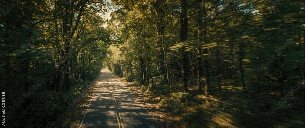 Fototapeta premium Drone image revealing a meandering road wrapped in a canopy of forest trees