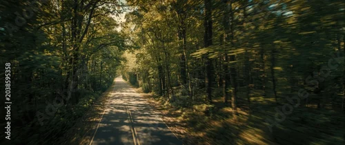 Panel kuchenny z motywem Drone image revealing a meandering road wrapped in a canopy of forest trees