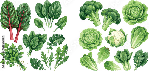 Fotografía Fresh green leafy vegetables mega collection set with broccoli, spinach, kale, a