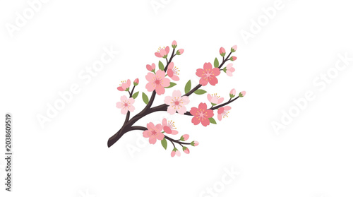 Photos Delicate Pink Cherry Blossoms on a Branch.