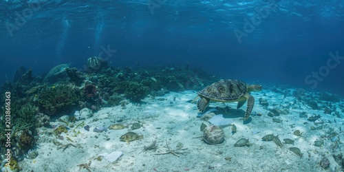 Effects of plastic litter on oceanic ecosystems and marine animals
