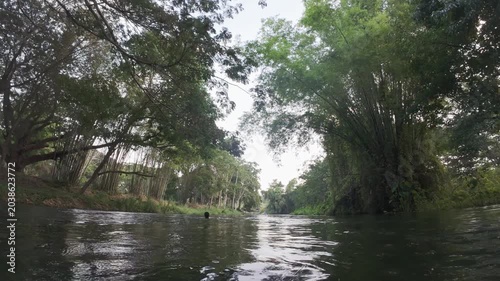 River Rafting on Calm Tropical River Surrounded by Lush Green Forest
