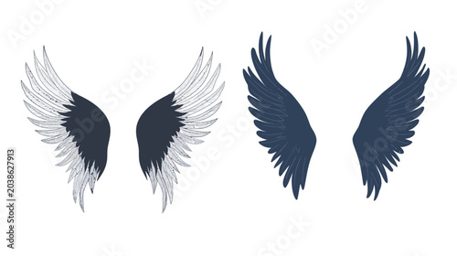 Two pairs of bird wings, detailed in black, white, and gray on a white background