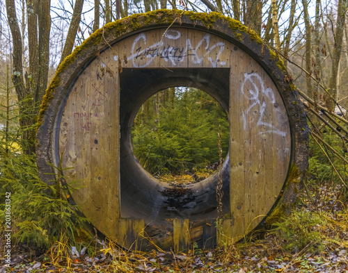 Tableau sur toile Nature reclaims concrete