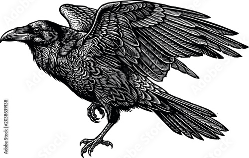 Detailed hand drawn engraving style vector illustration of a majestic black raven bird flying with open wings isolated on a solid white background