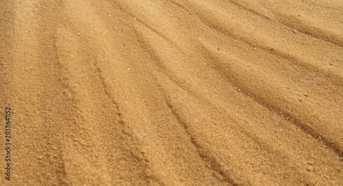Close up of detailed sandy ...