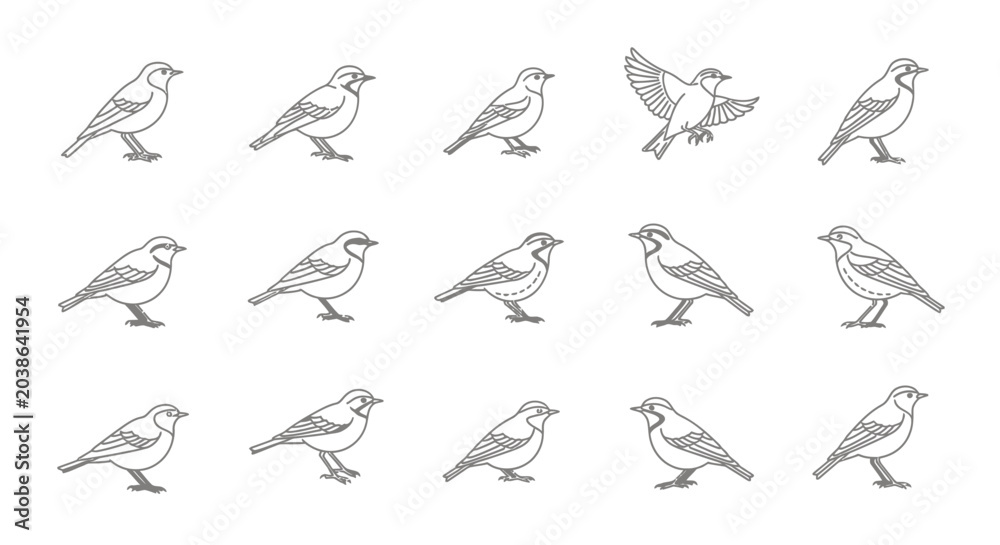 Fototapeta premium Line art bird collection various poses depicting flight and stillness
