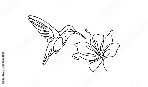 Bilde på lerret One line art of a beautiful hummingbird drinking nectar from a flower vector