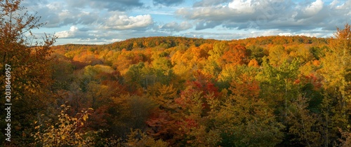Colorful fall foliage in a ...
