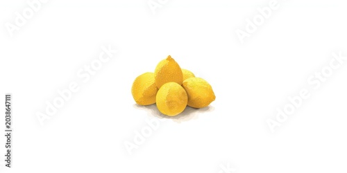 Hand drawn style yuzu fruit...