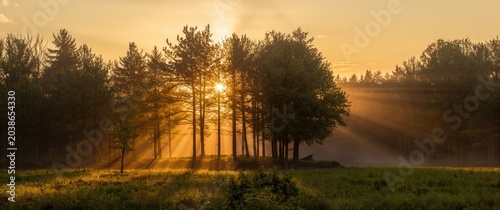 Golden hour sunlight castin...