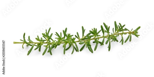 Fresh thyme branch on a cri...