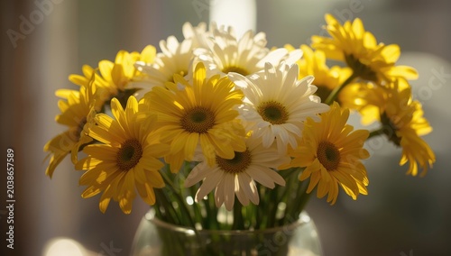 Fresh yellow and white dais...