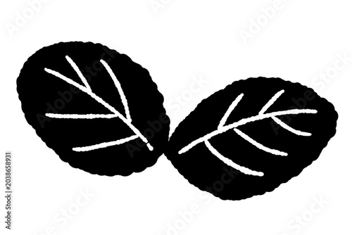 Tableau sur toile Monochrome Peppermint Leaves Detail Vector