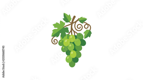 Schilderij op canvas Fresh Green Grapes on Vine with Leaves.