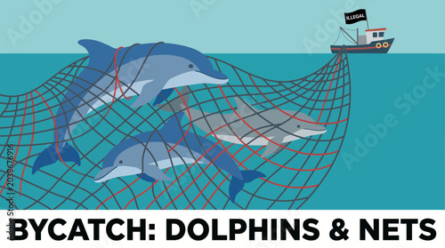 Bild auf Leinwand Bycatch of Dolphins Entangled in Illegal Fishing Net