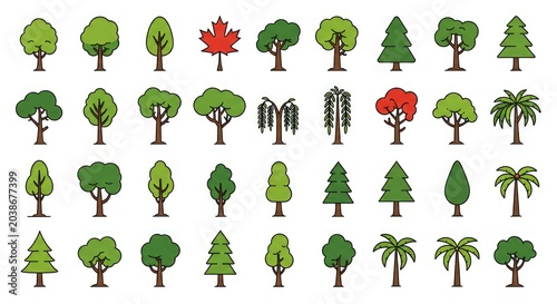 Collection of various tree types.