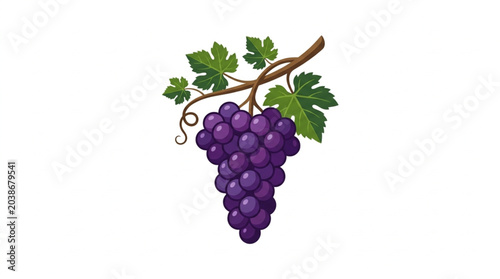 Tableau sur toile Fresh Ripe Purple Grapes on Vine with Green Leaves.