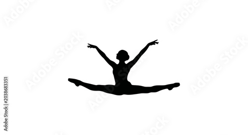 Silhouette of Female Ballet Dancer.