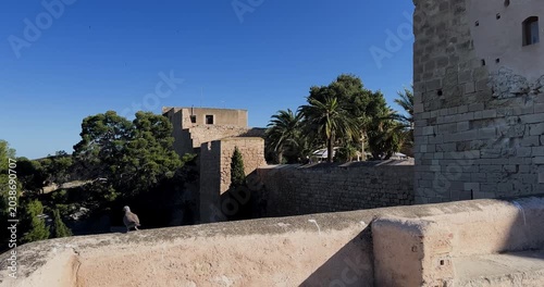 castle with blue sky