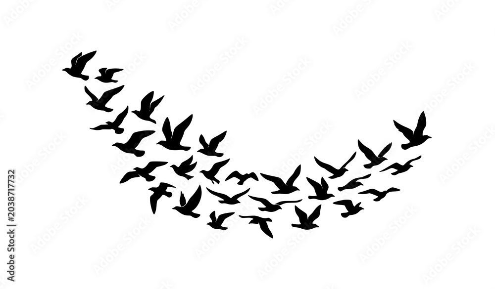 Obraz premium Minimal Black and White Bird Flock Silhouette Vector for Decorative Wall Artwork
