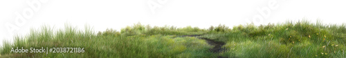 Fotografie green grass on a white background/High resolution panoramic grassland landscape