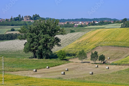 Schilderij op canvas Sul sentiero di Aleramo (Montiglio Monferrato)