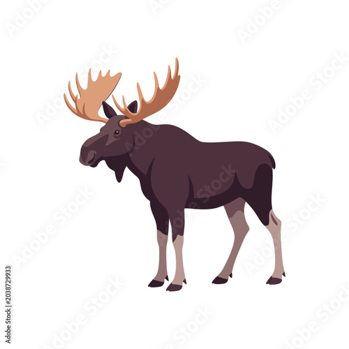 Fotografia Moose with large brown antlers standing.