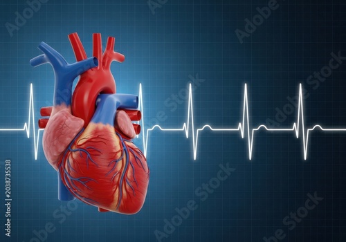 A heart with an electrocardiogram in the background